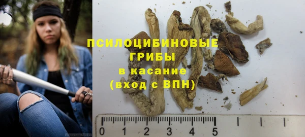 mdpv Бугульма