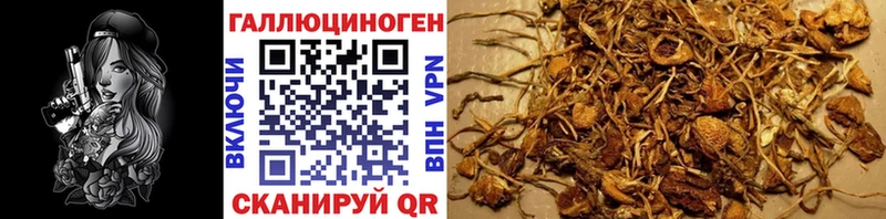 Галлюциногенные грибы мицелий  Купить закладки  Омутнинск 